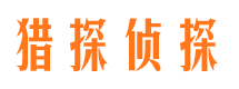 茄子河市婚外情调查